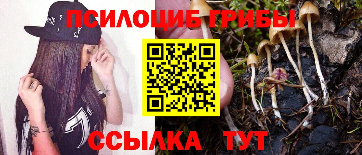 Галлюциногенные грибы ЛСД  Псилоцибиновые грибы мицелий  Бердск  Вход с VPN 
