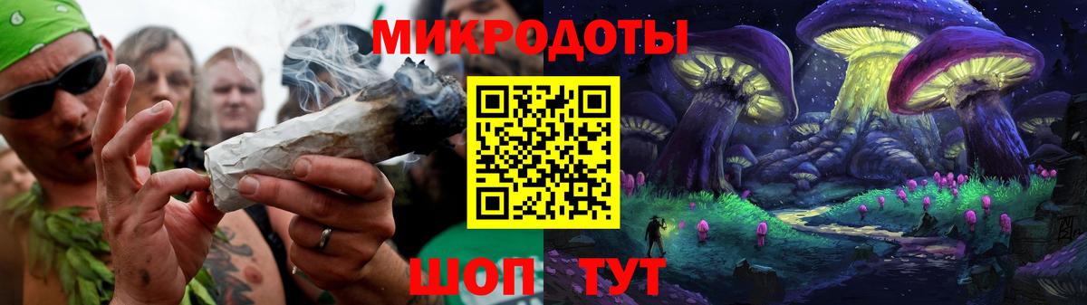 Псилоцибиновые грибы прущие грибы Бердск