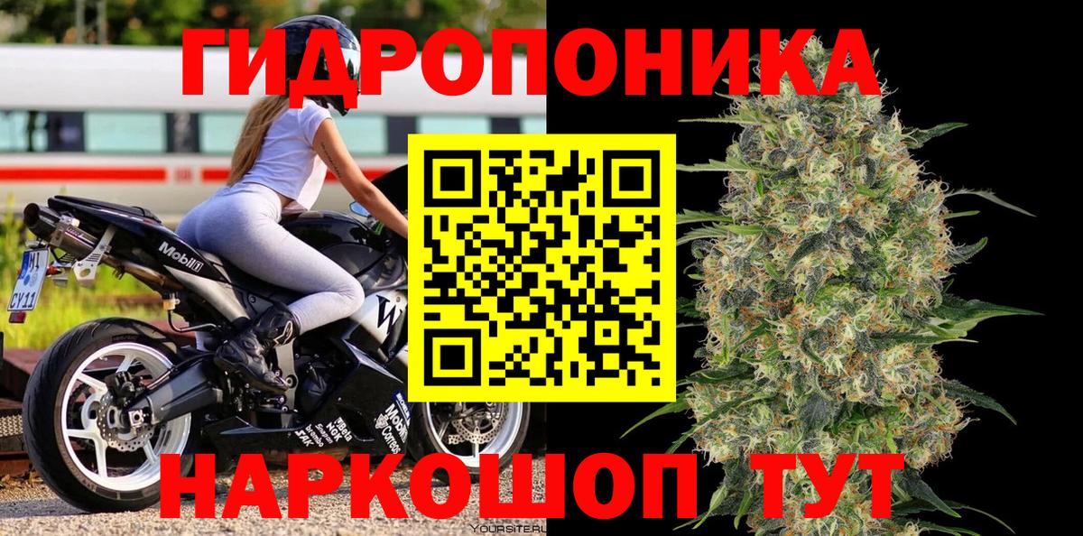 Конопля план  Шишки марихуана White Widow  Бердск  Канабис Amnesia  Вход с VPN 